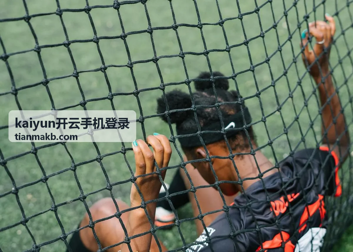 kaiyun开云手机登录移动端登录流程示意