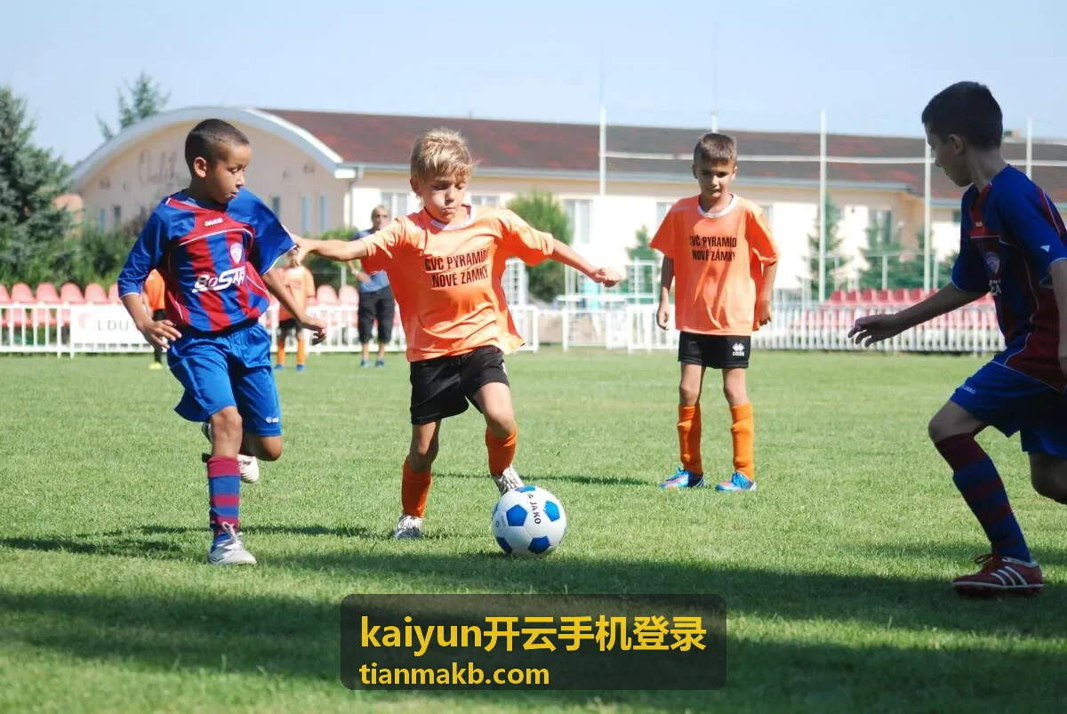 kaiyun开云手机登录账号安全与验证方式配置界面示意