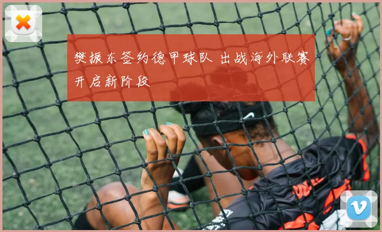 樊振东签约德甲球队 出战海外联赛开启新阶段