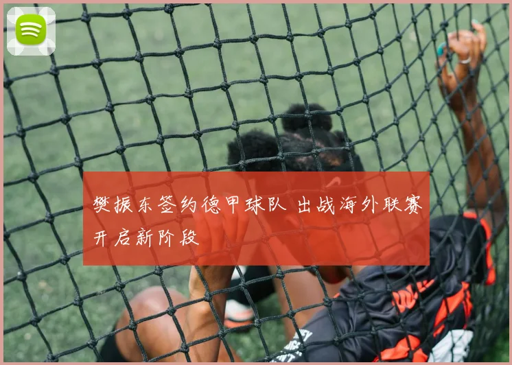 樊振东签约德甲球队 出战海外联赛开启新阶段