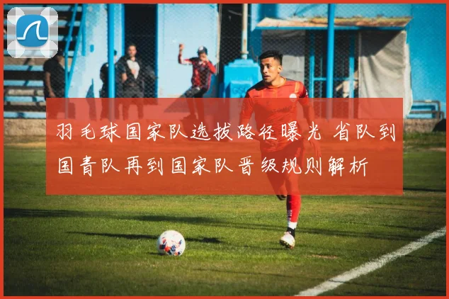 羽毛球国家队选拔路径曝光 省队到国青队再到国家队晋级规则解析