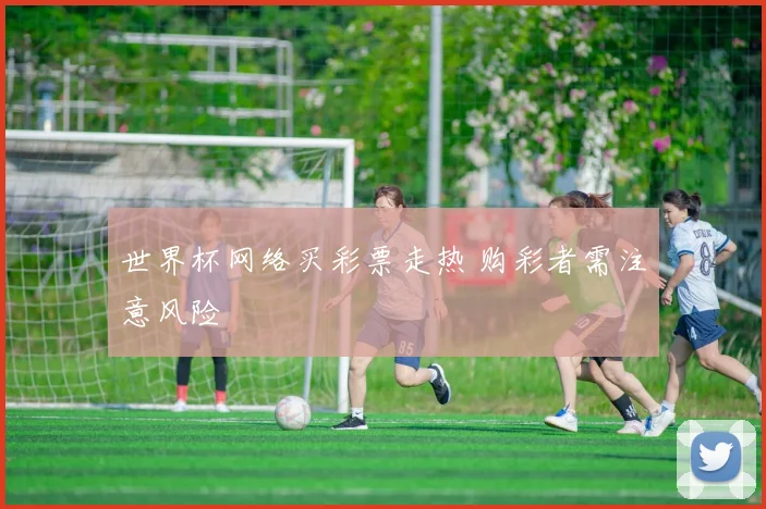 世界杯网络买彩票走热 购彩者需注意风险