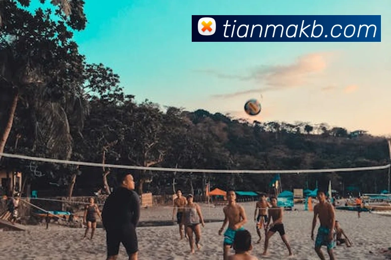 开云kaiyun网页版服务体系