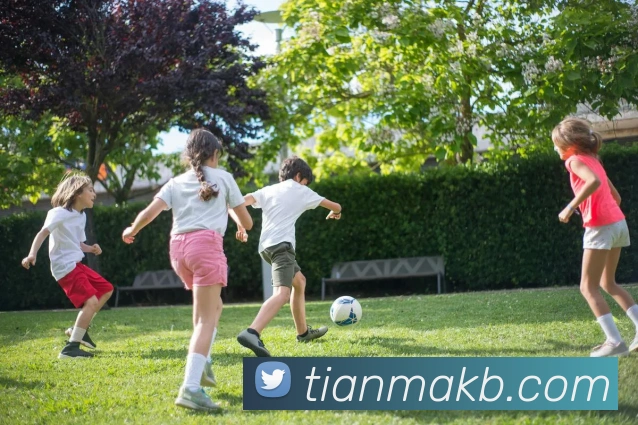 多媒体互动体验